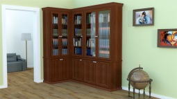 Biblioteczka- projekt